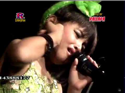 download lagu mp3 mp4 New Pallapa Tasya Musibah, download lagu New Pallapa Tasya Musibah gratis, unduh video klip New Pallapa Tasya Musibah