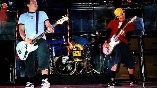 blink-182 - Roller Coaster live in Pittsburgh [2001]
