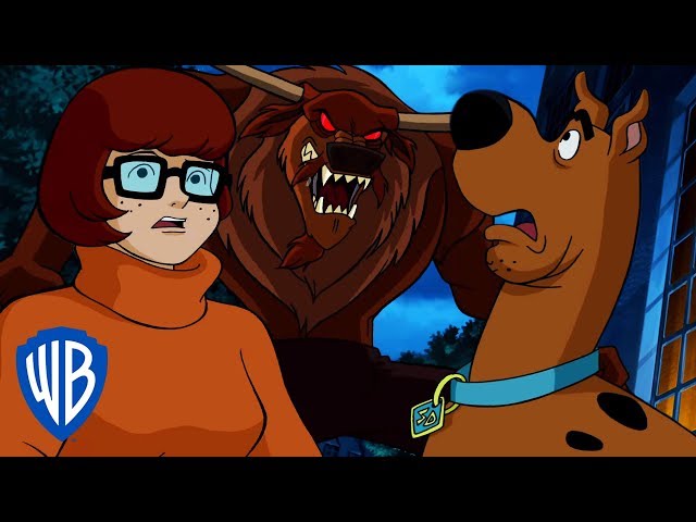 Vídeo relacionado con Scooby-Doo! Calcetines unisex multicolores para niños (juego de 5) | Diseño de dibujos animados de Scooby Snacks y la Máquina del Misterio | Ropa infantil de diario | Calcetines con personajes