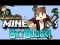 Minecraft: SkyBlock Warriors w/Mitch & Friends! (Mini-Game Battle!)