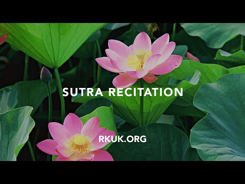 Sutra recitation - English | The Lotus Sutra for 30 minutes with daimoku