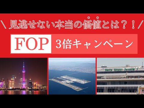 [JAL Training JAL] JAL FLY ON Triple Points Campaign! What is the true value that monks in traini...