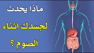 ماذا يحدث لجسدك اثناء الصوم ؟ ماذا يحدث لجسدك اثناء الصوم ؟