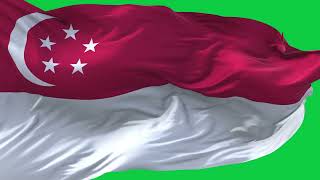 Download lagu 🚩Singapore Flag Waving | GREEN SCREEN & CHROMA MATTE🚩 mp3
