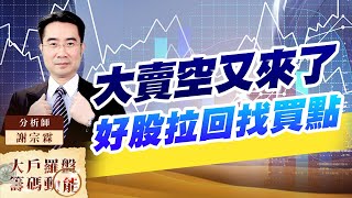 大賣空又來了  好股拉回找買點