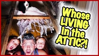 😱IS THERE A STRANGER IN OUR HOUSE😱 FAMILY VLOG | SMELLY BELLY TV