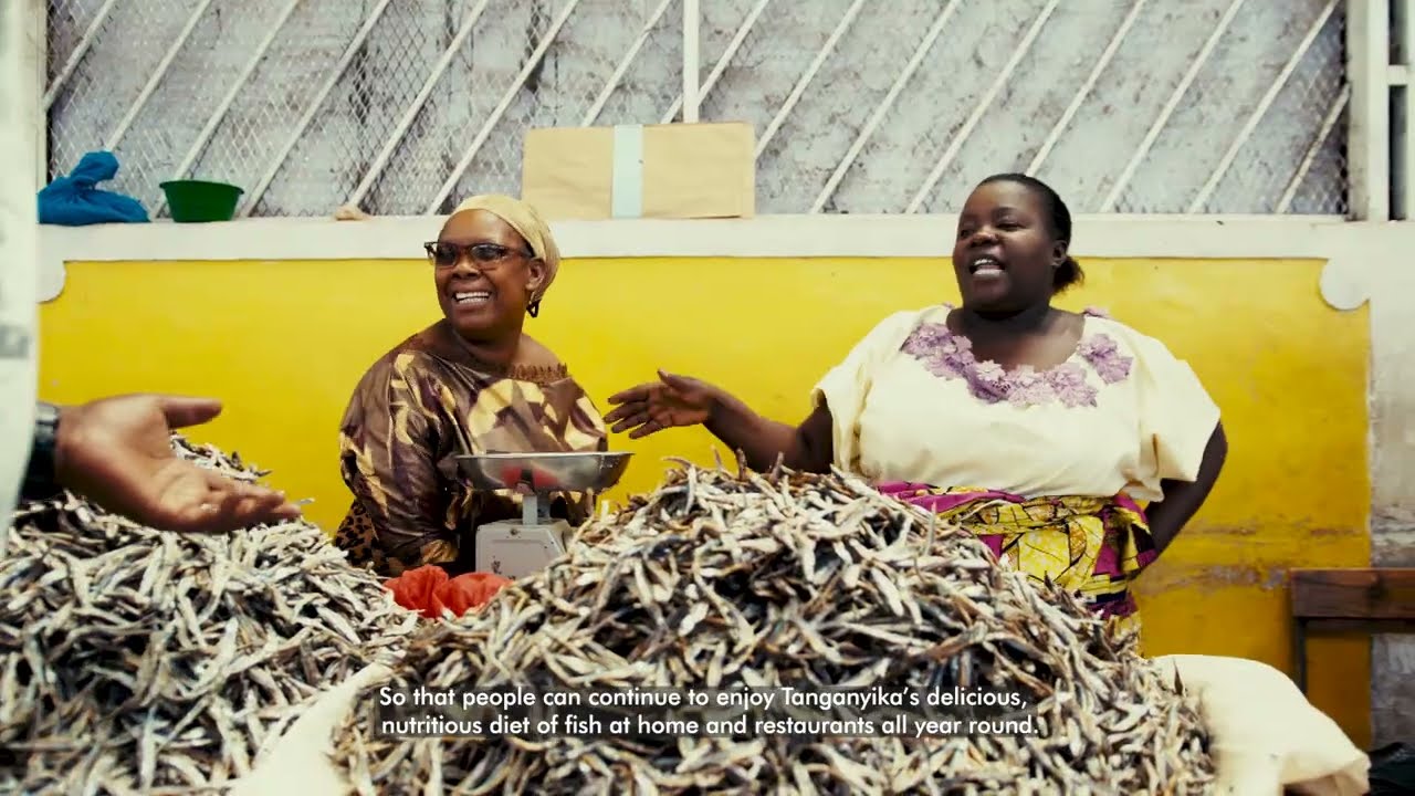 Follow the Fish: Lake Tanganikya's new Samaki Centre for Fishing Cooperatives