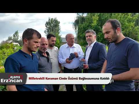 Milletvekili Karaman Cimin Üzümü Bağbozumuna Katıldı