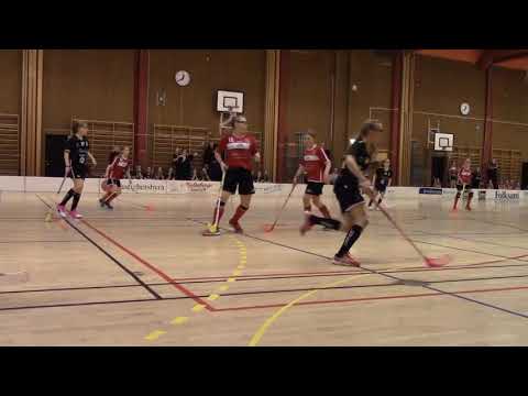 Fair Play Cup  Åkibs F05/06  -  Ingelsta