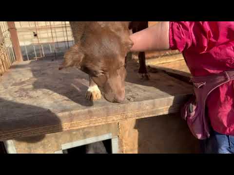 NOSHI - Februar 2024