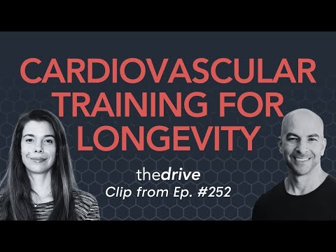 Low-intensity & high-intensity cardiovascular training for longevity | Rhonda Patrick & Peter Attia