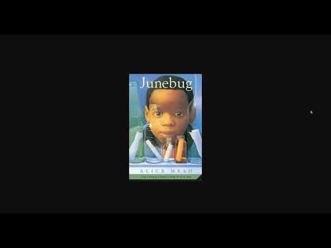 Junebug Chapter 1 Read Aloud