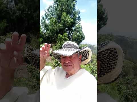 fuertes vientos hoy en Boyacá