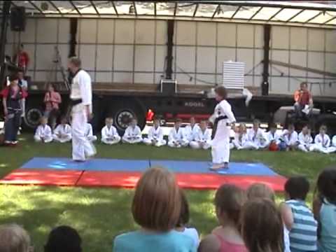Taekwondo Straßenfest Hallendorf 07 06 08
