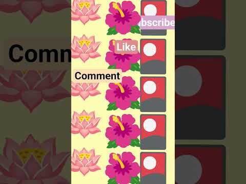 which one do u guys choose