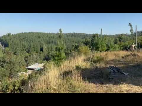 Propiedad en venta Ñabuco, Curepto, Región del Maule