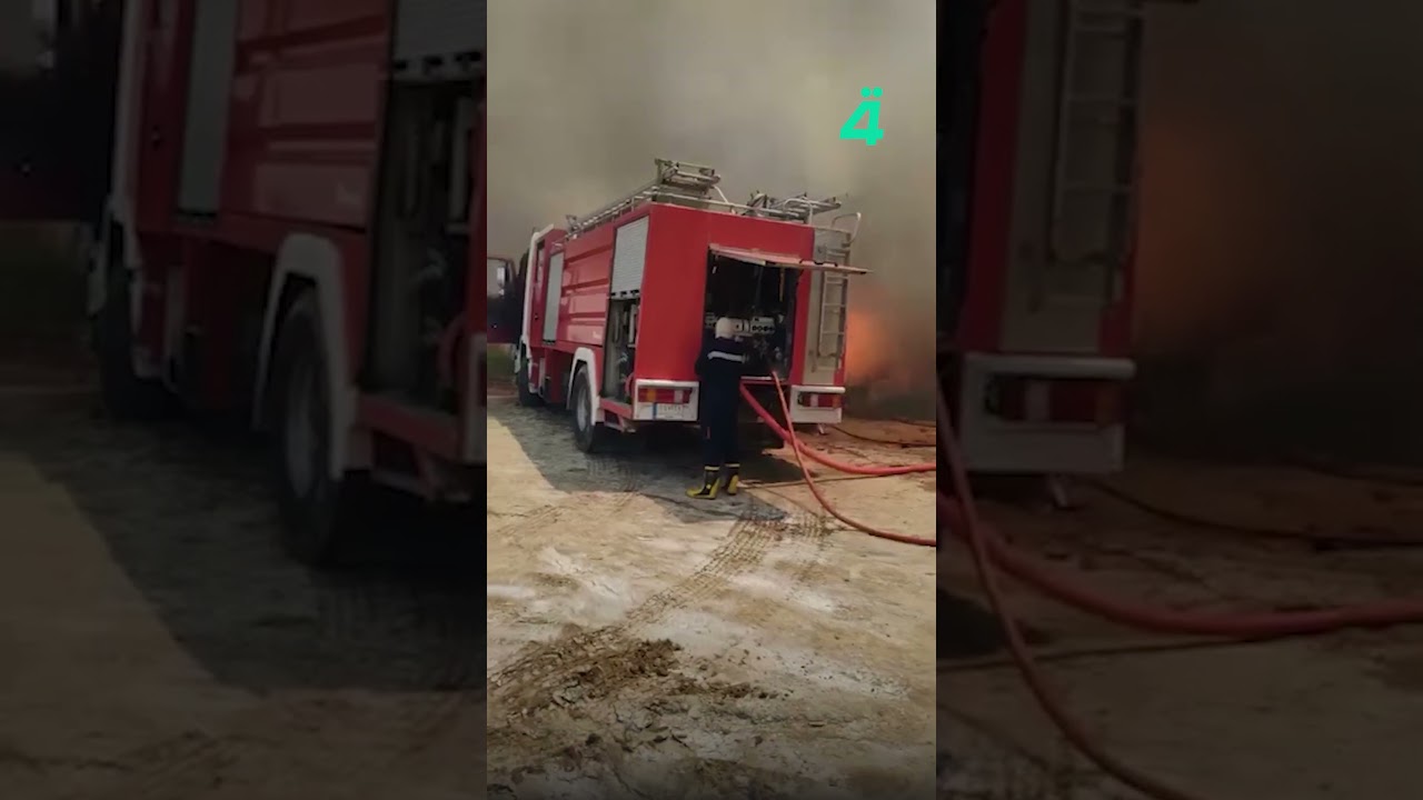 فيديو | حريق بمساحات مزروعة بمحصول الحنطة في المشخاب