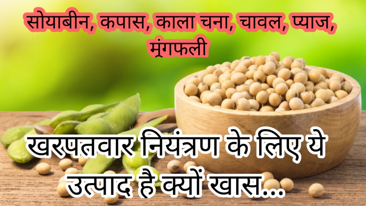 Watch video whip suer herbicide//संकरी पत्ती खरपतवार नाशक//bayer herbicide//fenoxaprop-e-ethyle 9% ec(9.3/w/w) Now whip suer herbicide//संकरी पत्ती खरपतवार नाशक//bayer herbicide//fenoxaprop-e-ethyle 9% ec(9.3/w/w)