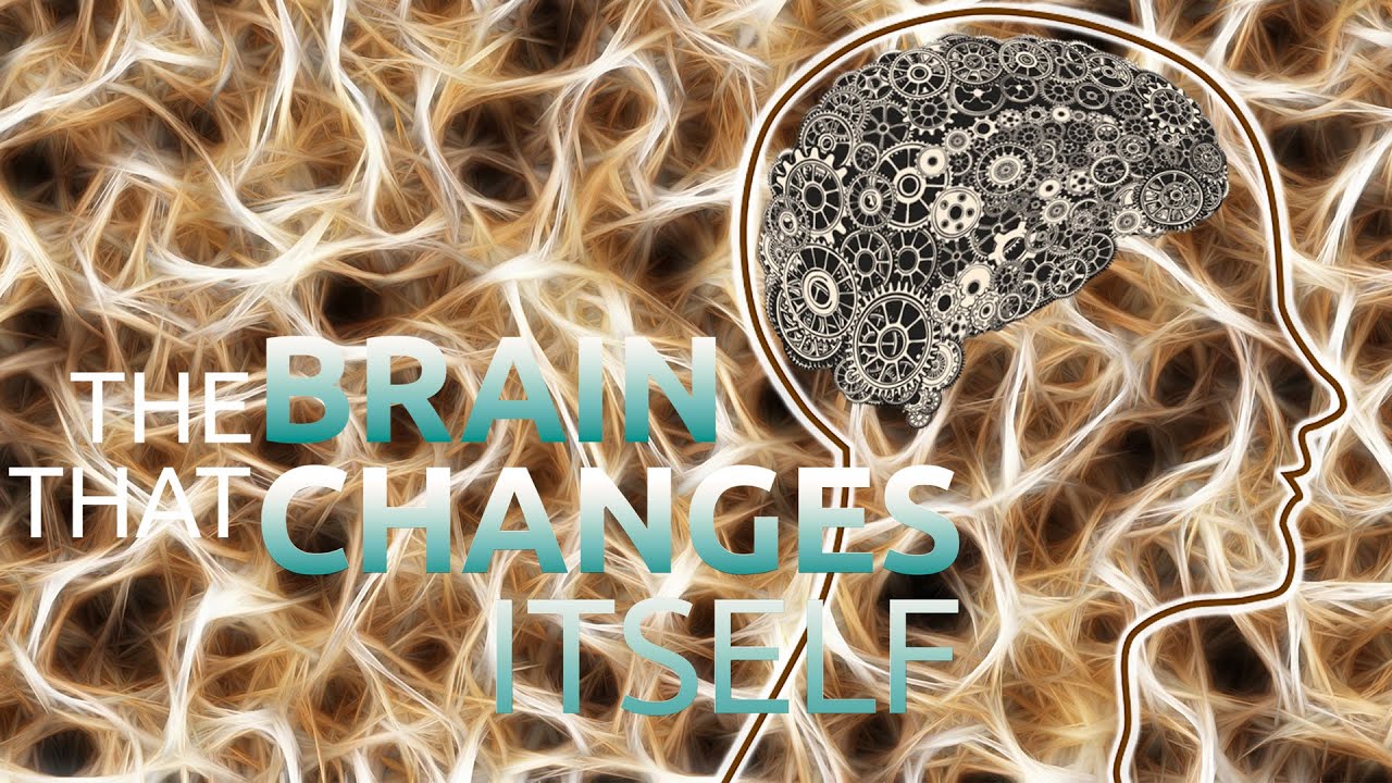 Re-wiring the Brain #science #brainpower #humanbody