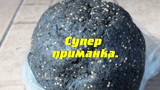 Тесто для рыбалки из жмыха