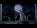 Cats Dogs 2001 Teaser Trailer