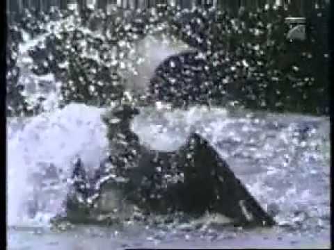 Kastelruther Spatzen - Der Adler von der Schartenwand-Mit den Augen des Adlers.avi