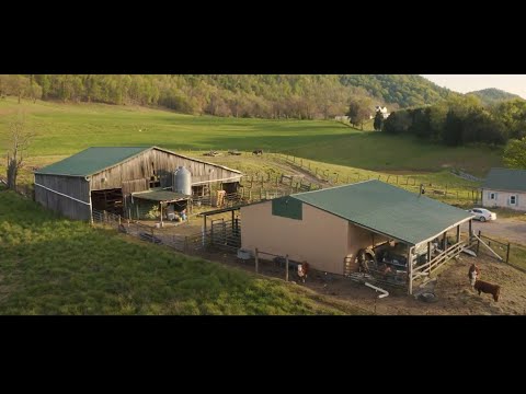 Tennessee Cattle farm for sale Rogersville