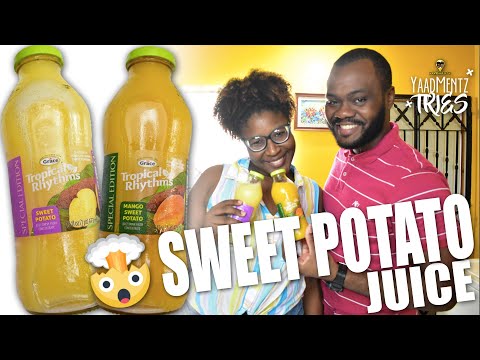 download lagu mp3 mp4 Tropical Rhythms Drink, download mp3 Tropical Rhythms Drink free download, download mp3 Tropical Rhythms Drink