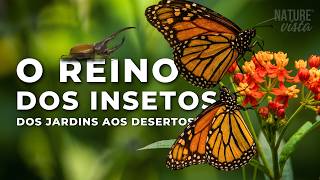 O REINO DOS INSETOS | A Vida Minúscula que Domina o Planeta - Documentário Completo
