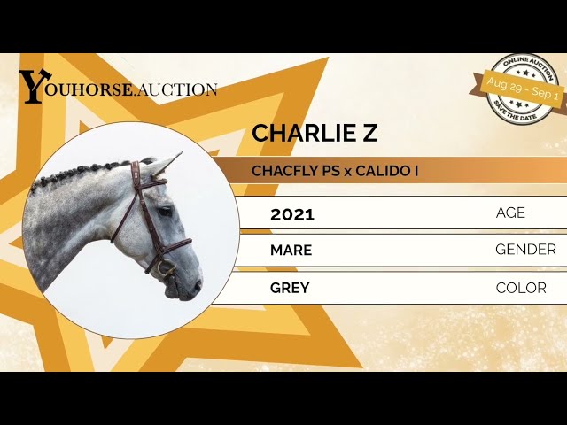 Charlie showvideo
