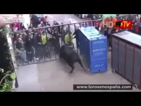 WTF of the Day, Don't mess with the bull