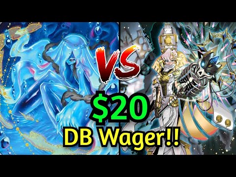 Vanquish Soul K9 Vs Radiant Typhoon $20 Money Matches!!