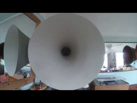 Five Harmaniacs: What Makes My Baby Cry?