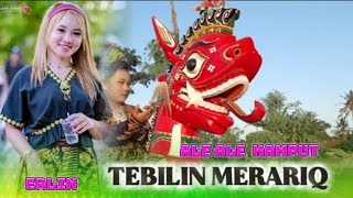Download lagu ALE ALE KAMPUT TEBILIN MERARIQ ERLIN (VIDIO ) mp3