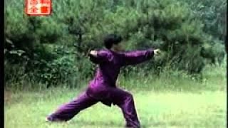 Shaolin small flood kung fu (xiao hong quan), abridged