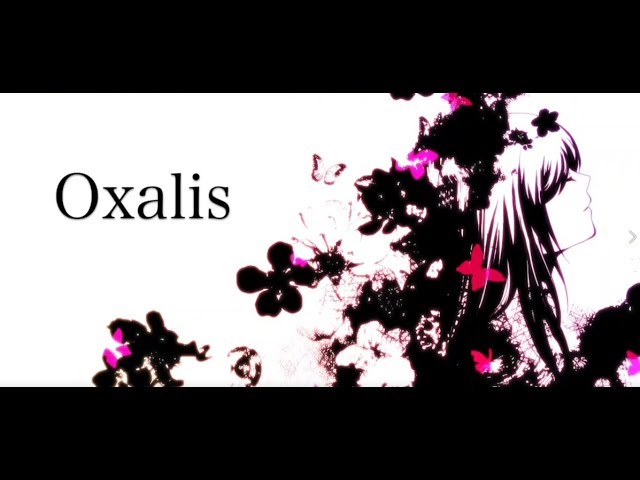 ウォルピスカーター『Oxalis』
