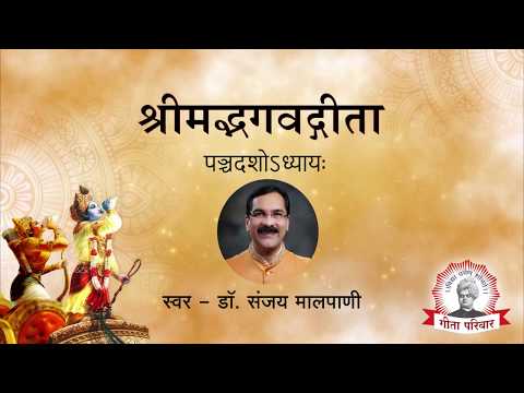 Bhagwat Geeta - Chapter 15 | भगवद्गीता अध्याय १५