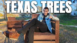 9 Texas Native Trees You'll Almost Never Find At A Nursery