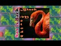 Donald Byrd - Flight Time + Mr. Thomas