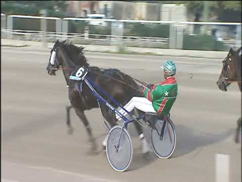 Trotto 22/10/2019 - 4ª corsa