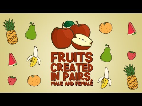 download lagu mp3 mp4 Fruits That Come In Pairs, download lagu Fruits That Come In Pairs gratis, unduh video klip Fruits That Come In Pairs