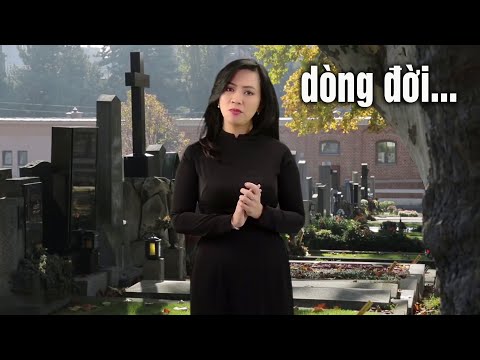 Dòng đời - Như Ý