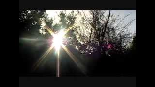 Autumn Sunshine-No Chemtrails.