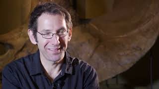 お客様は本当に神様かどうか検証する男たち