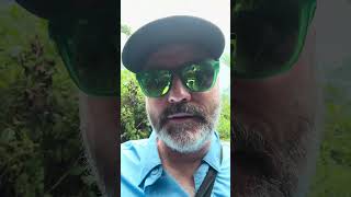 Today’s Crocodile tour in Costa Rica was amazing! #cruisenorwegian #ncljoy #cruise #costarica