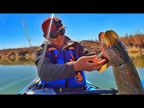 Kayak Fishing Shallow River for Big Spring Pikes (Pelican Mission 100)
