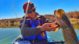 Kayak Fishing Shallow River for Big Spring Pikes (Pelican Mission 100)