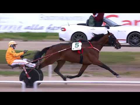 Napoli Trotto 01/05/2024 - 4ª corsa - 75° GRAN PREMIO LOTTERIA - 3° batteria