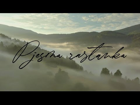 PJESMA RASTANKA - Hojsak & Novosel (Visual art)