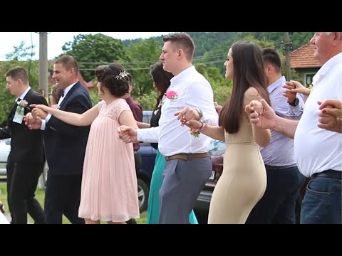 Program hora nunta - Aurelia Caprita